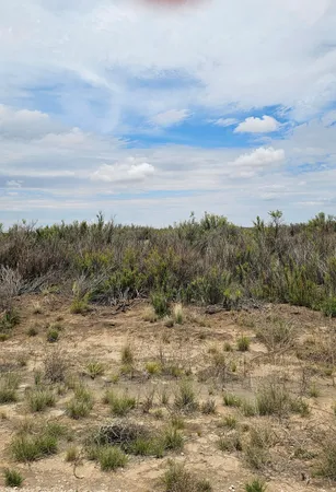 $90,000 | Lot 4-and Douglas Farms Tanner, Brownfield, TX 79316