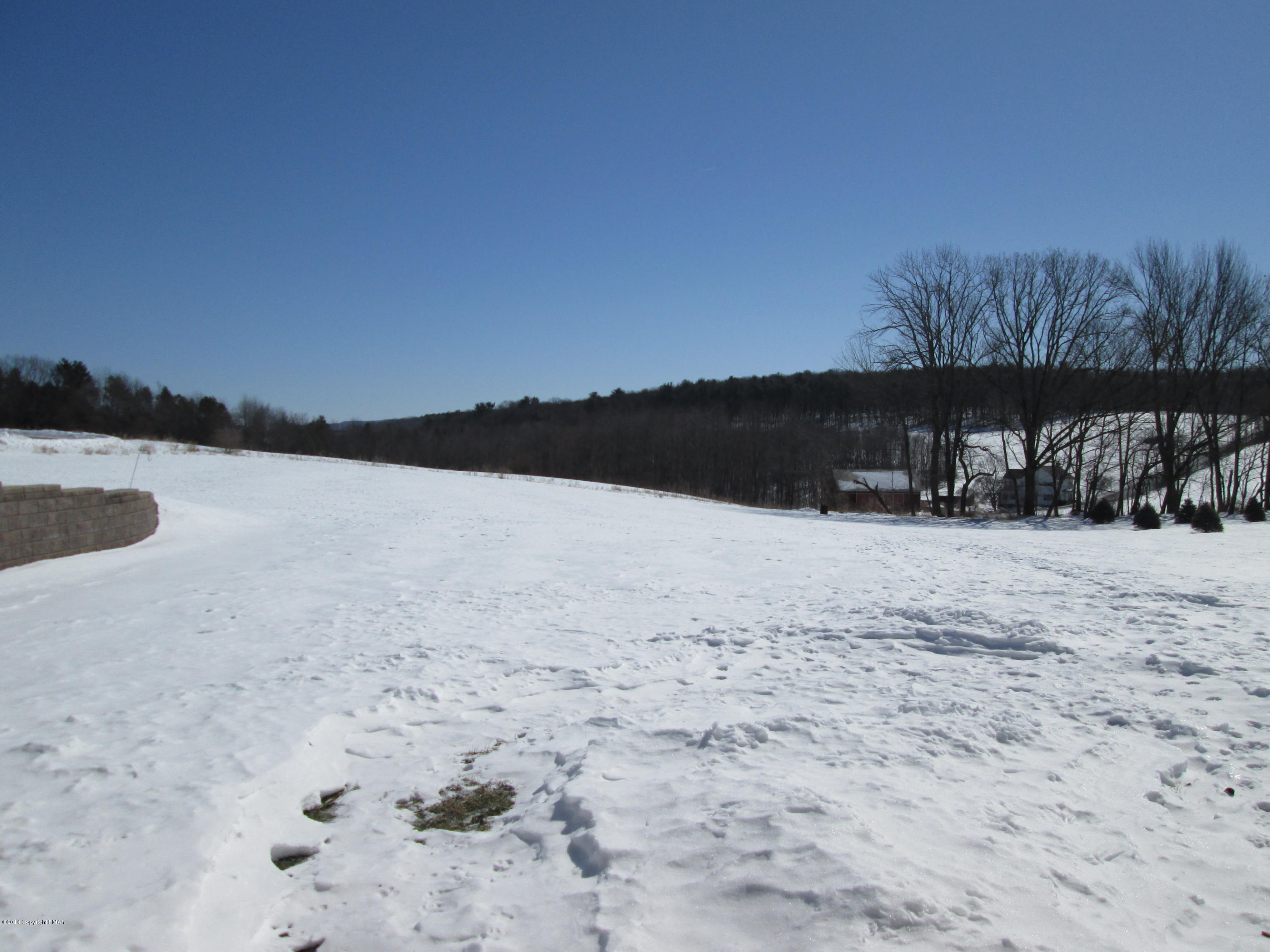 1007 Winter Mountain Road Andreas, PA 18211 - Photo 49 of 51 Large backyard