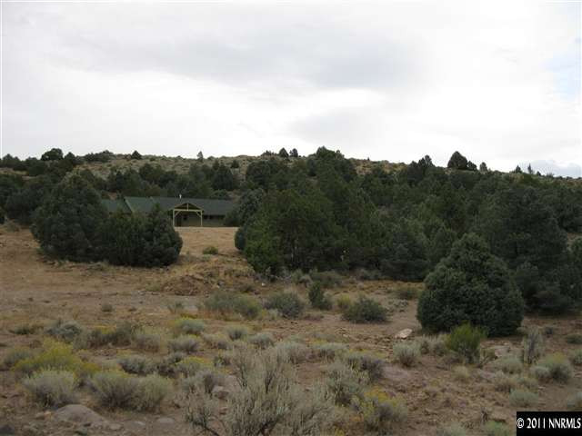 2830 Goldfield Road Reno, NV 89521 - Photo 12 of 13 a view of a dry yard with green space