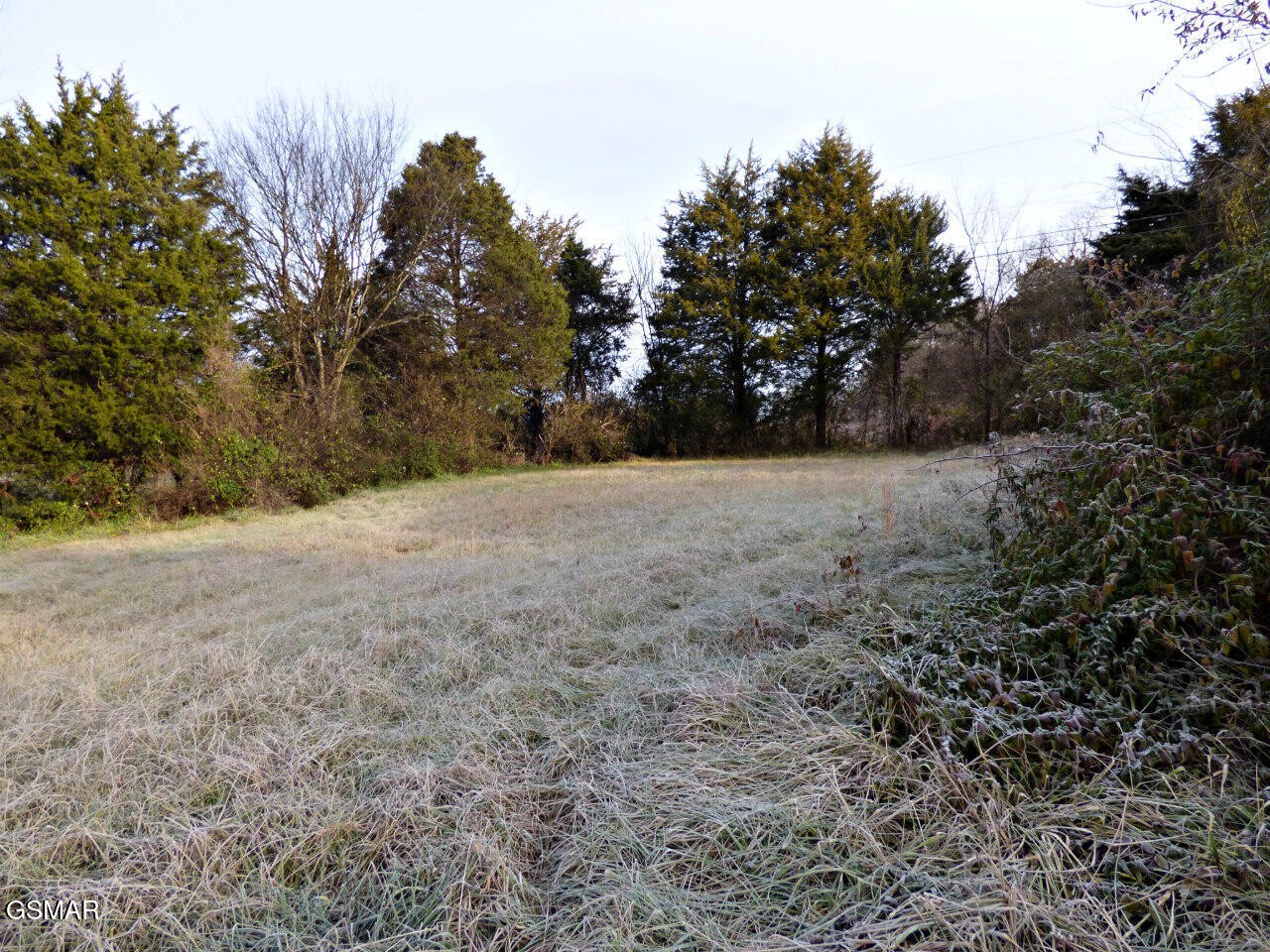 445 Coile Road Jefferson City, TN 37760 - Photo 7 of 21 Gallery Image 7