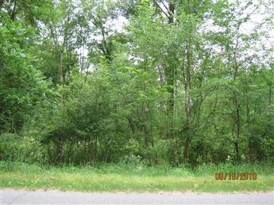 White Road Ravenna, MI 49451 - Photo 1 of 3 Primary Photo