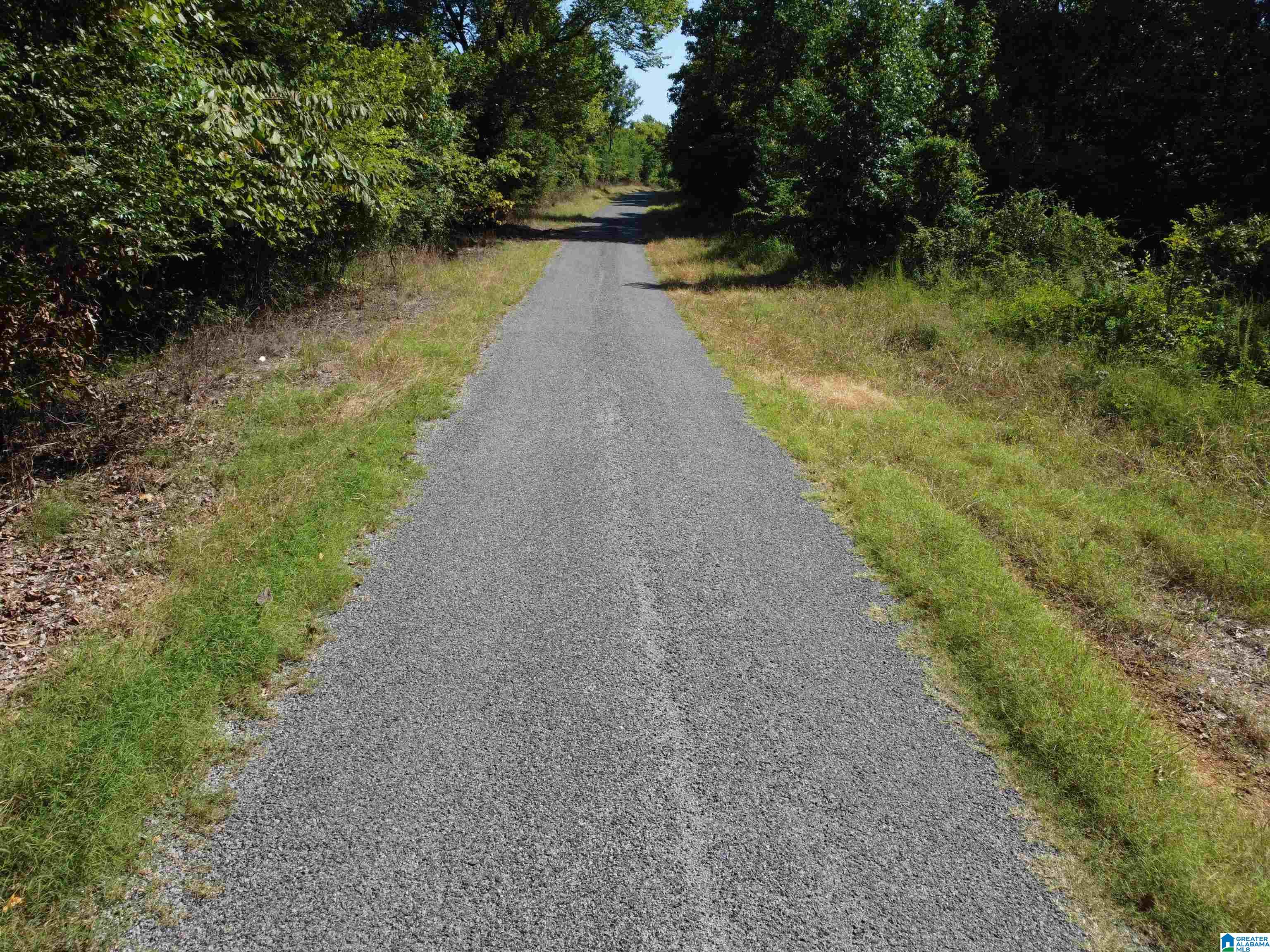 0 Beaver Mountain Road Ashville, AL 35953 - Photo 30 of 40