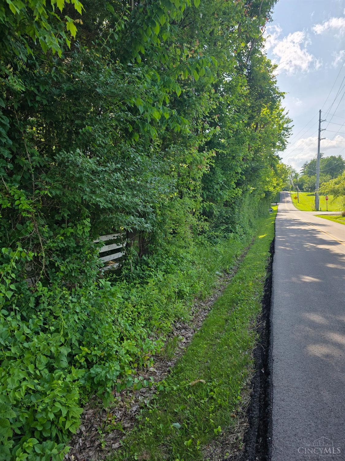 0 Fagins Run Road New Richmond, OH 45157 - Photo 25 of 28