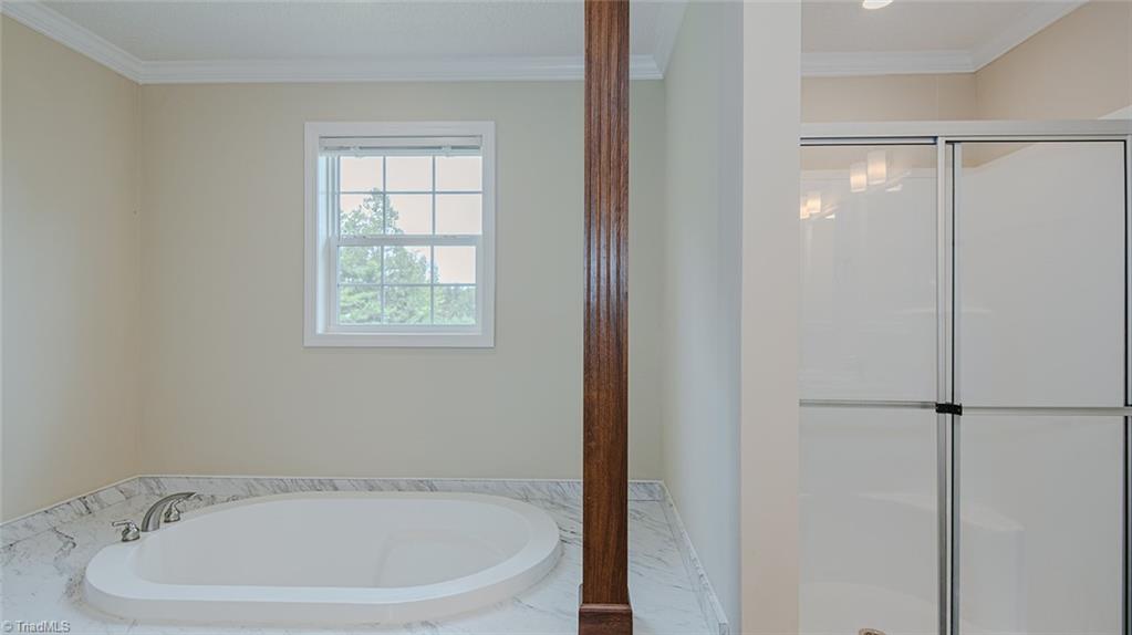 851 Chandler Mill Road Pelham, NC 27311 - Photo 29 of 46 Primary Bathroom