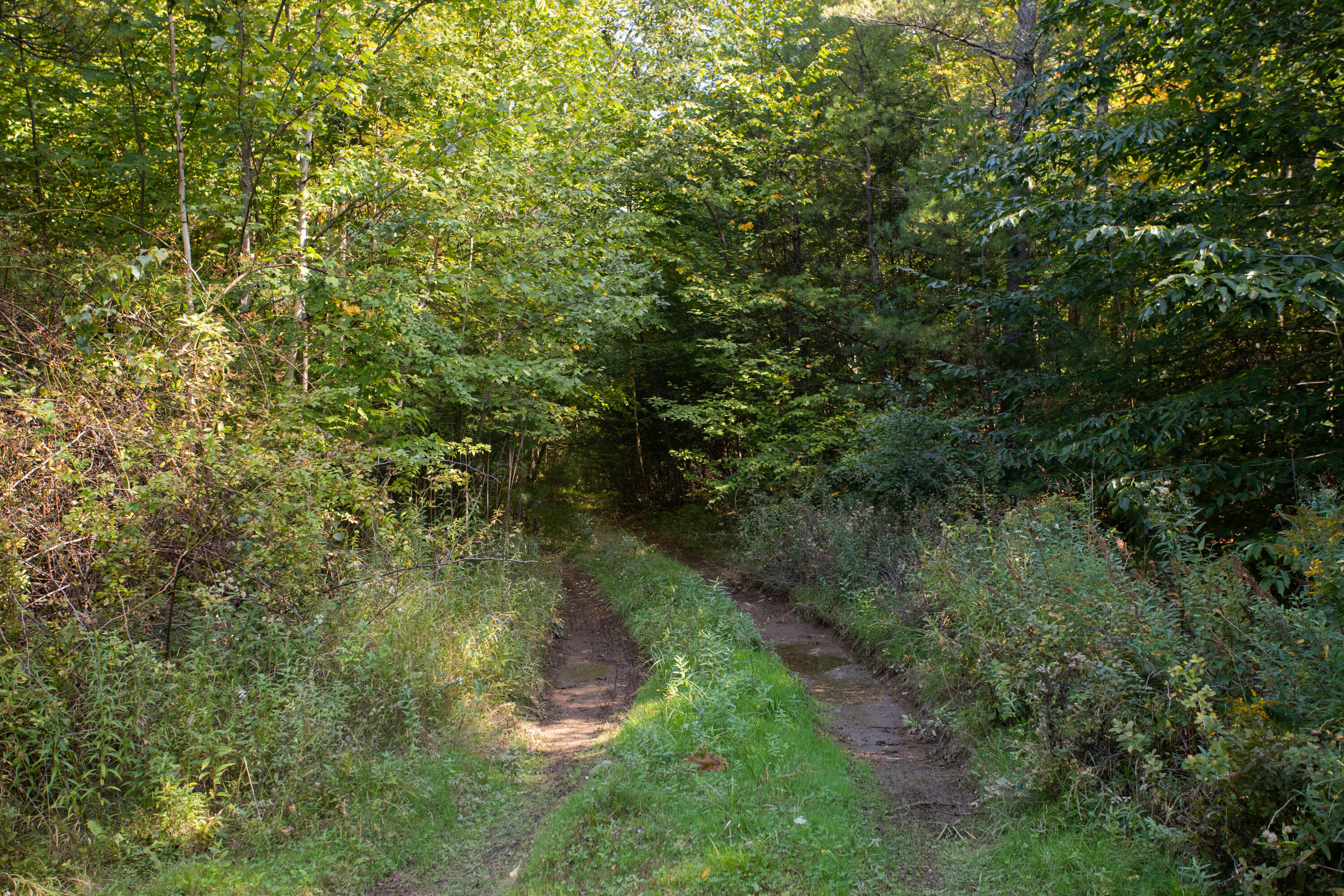 7 Josiah Currier Road Cape Neddick, ME 03902 - Photo 5 of 30 7 Josiah Currier Road