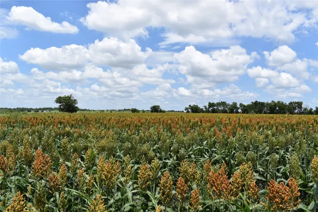 a view of a city and a lot of buildings