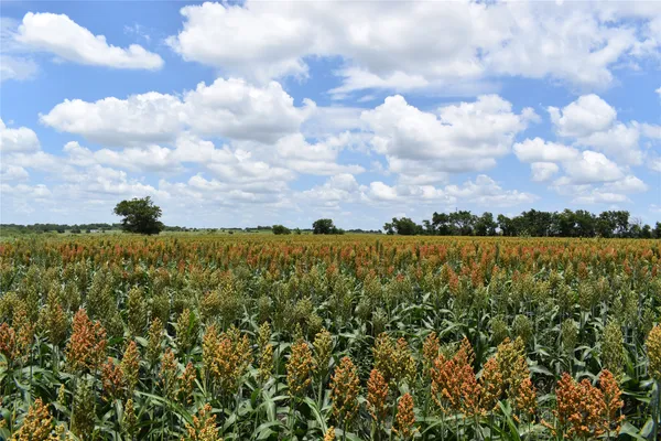a view of a city and a lot of buildings