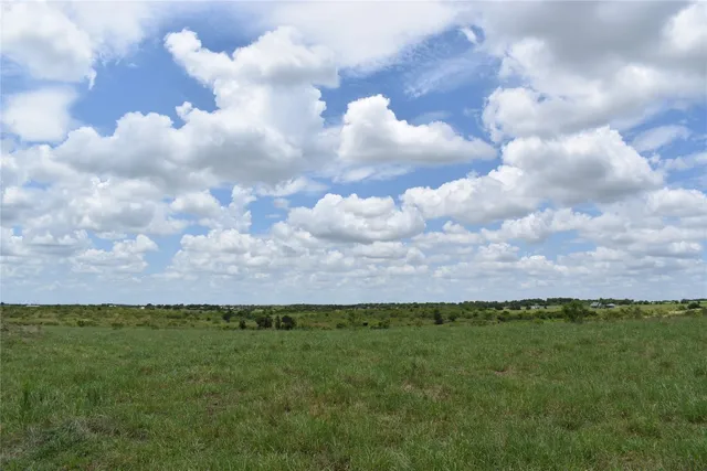 a view of a bunch of trees