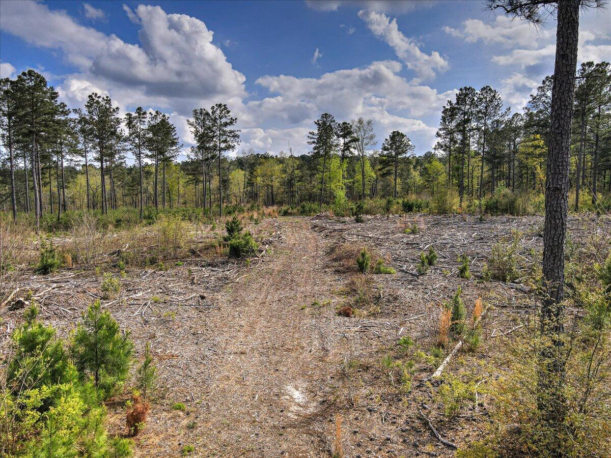 0 Deer Run Road, Unit E Williston, SC 29853 - Photo 9 of 15