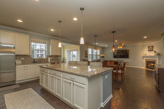 295 Monument Road Elgin, IL 60124 - Photo 10 of 25