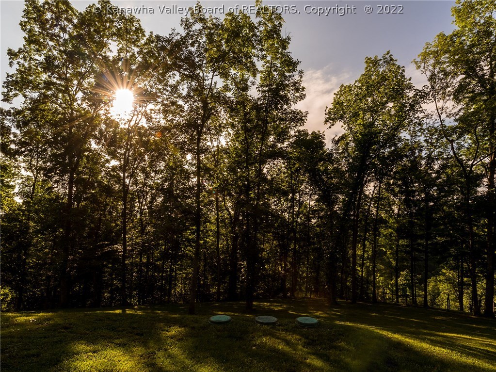 0 Big Creek Road Hamlin, WV 25523 - Photo 28 of 29 Gallery Image 28