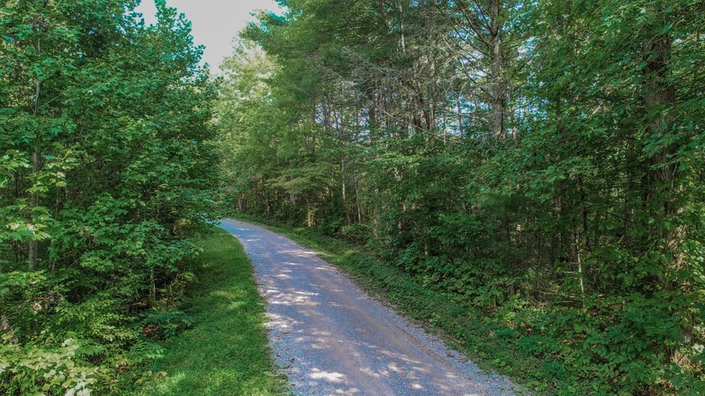 642 Green Hill Road Del Rio, TN 37727 - Photo 13 of 38 Gallery Image 13