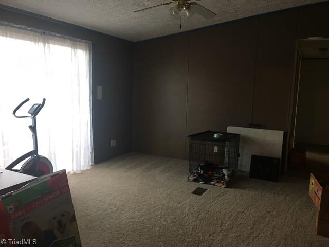 325 Rab Road Purlear, NC 28665 - Photo 12 of 32