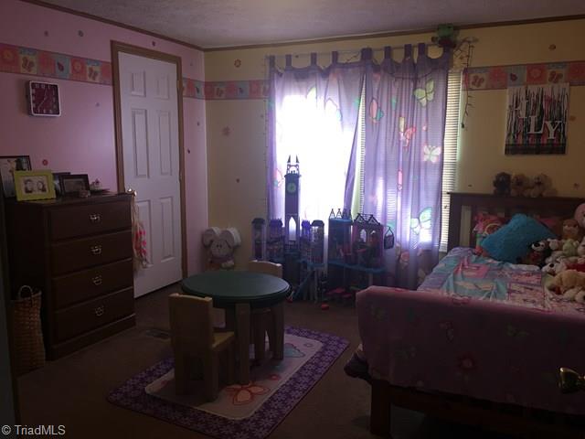 325 Rab Road Purlear, NC 28665 - Photo 23 of 32