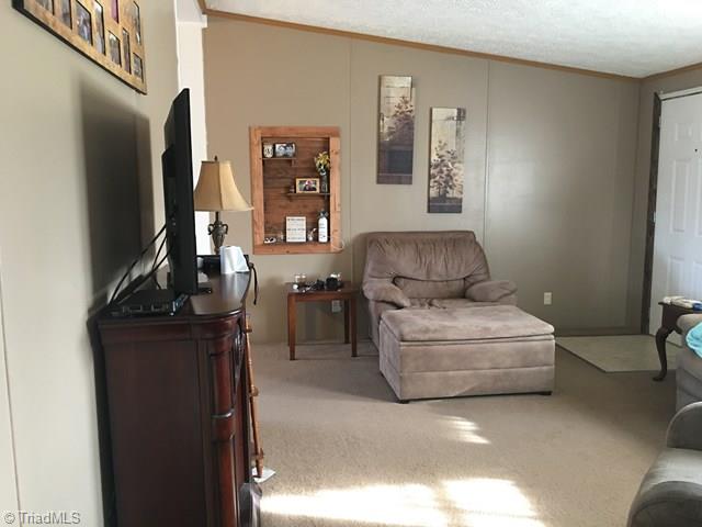 325 Rab Road Purlear, NC 28665 - Photo 28 of 32