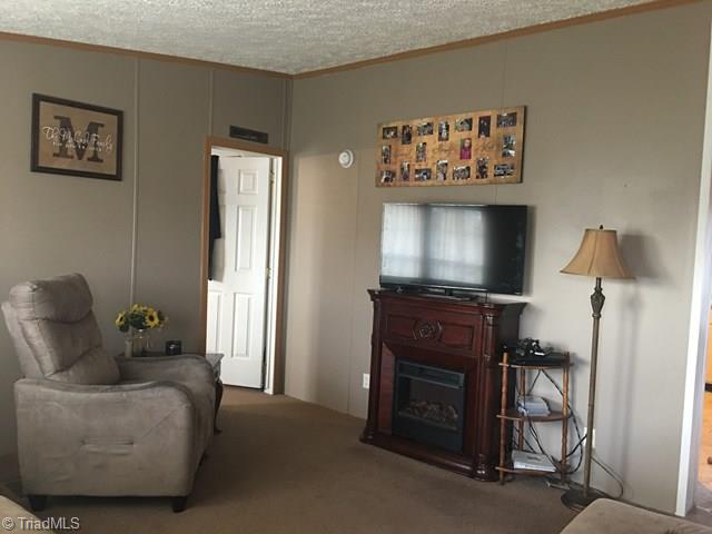 325 Rab Road Purlear, NC 28665 - Photo 7 of 32