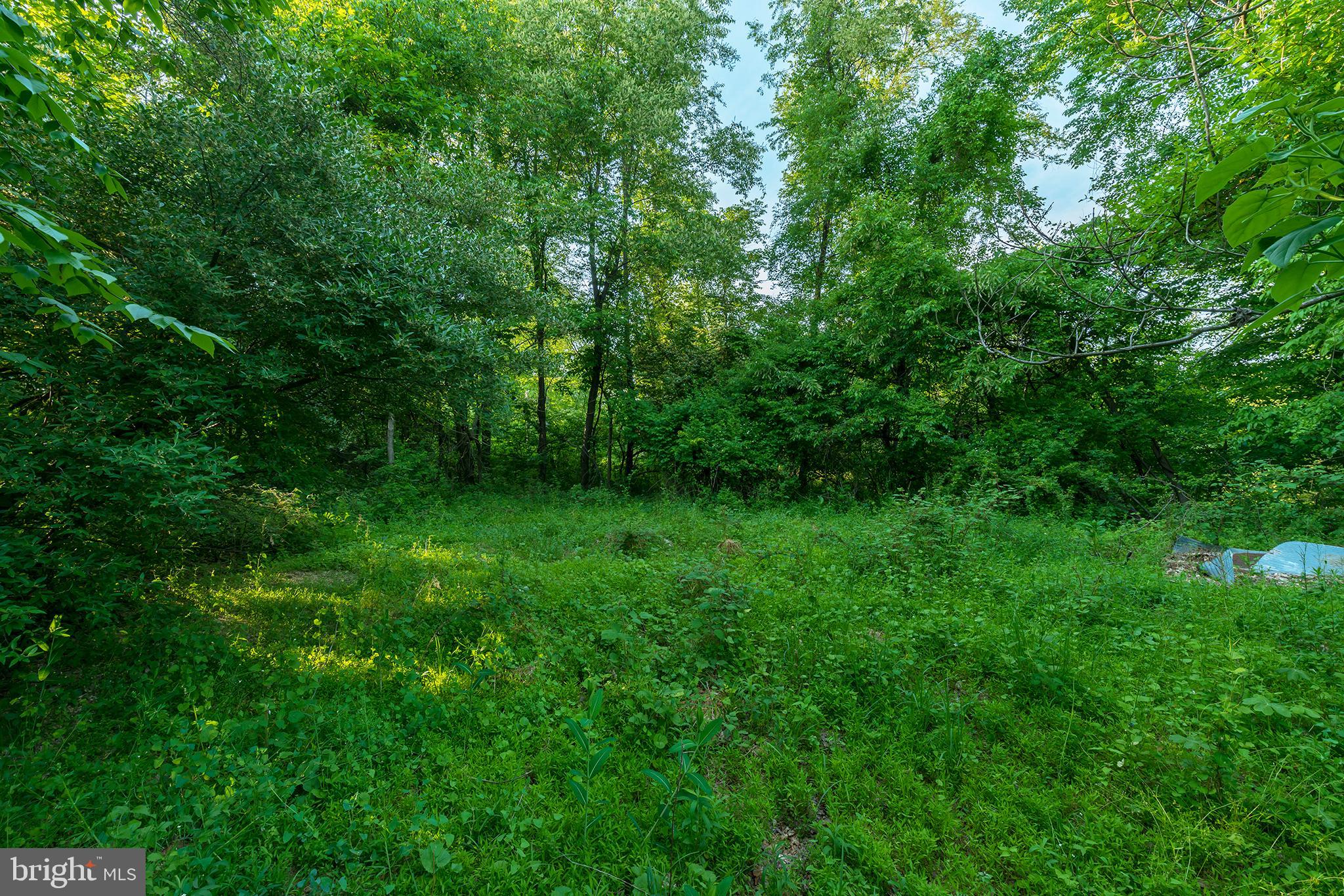 1300 Texter Mountain Road Reinholds, PA 17569 - Photo 16 of 32 Gallery Image 16