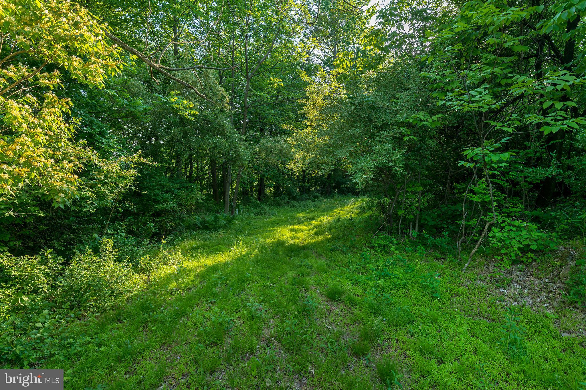 1300 Texter Mountain Road Reinholds, PA 17569 - Photo 18 of 32 Gallery Image 18