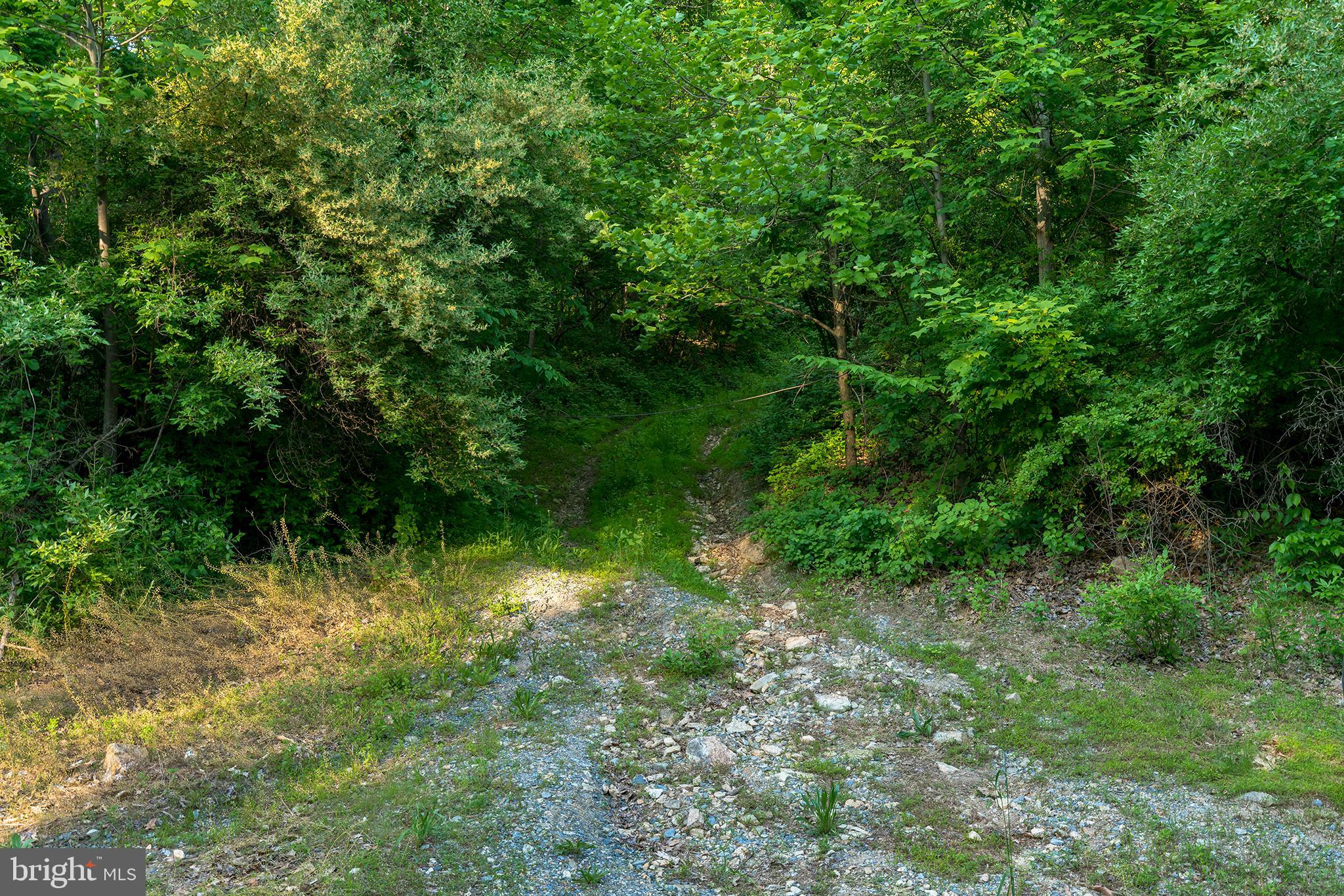 1300 Texter Mountain Road Reinholds, PA 17569 - Photo 22 of 32 Gallery Image 22
