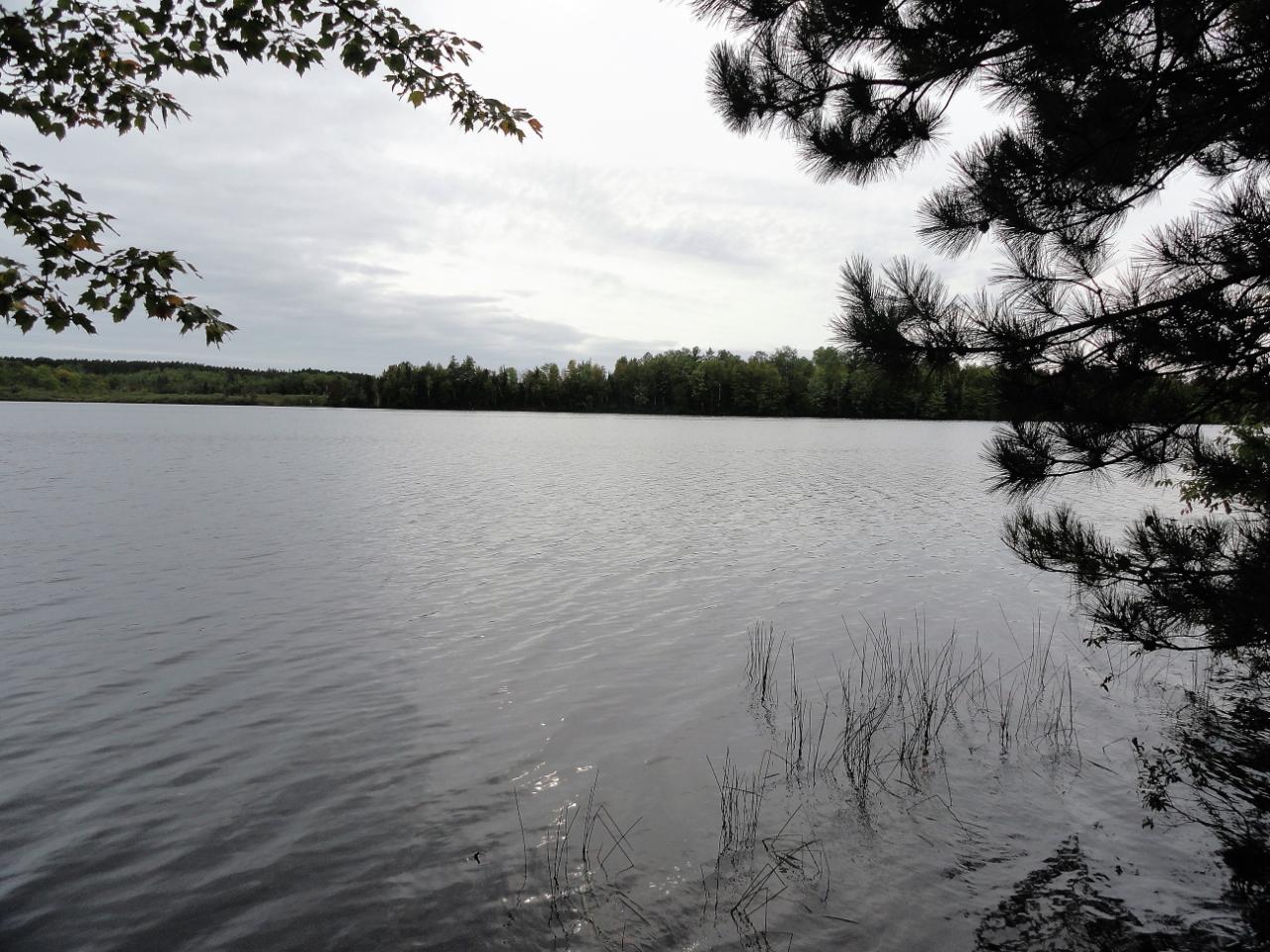 Lot 4 Forrester Road Tomahawk, WI 54487 - Photo 3 of 15 Gallery Image 3