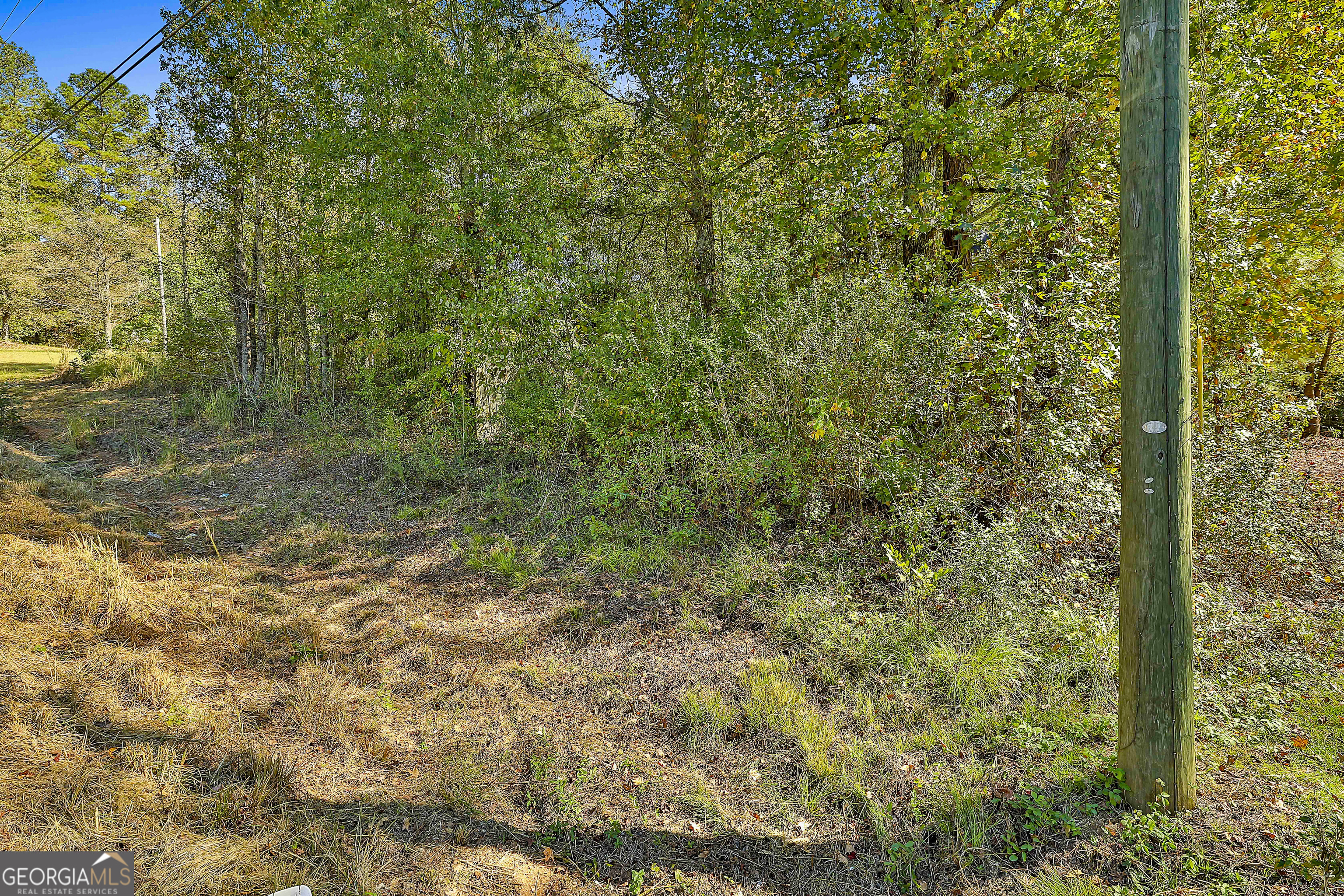 Lot 2 Raymond Hill Road Newnan, GA 30265 - Photo 2 of 4 a view of a yard with a tree