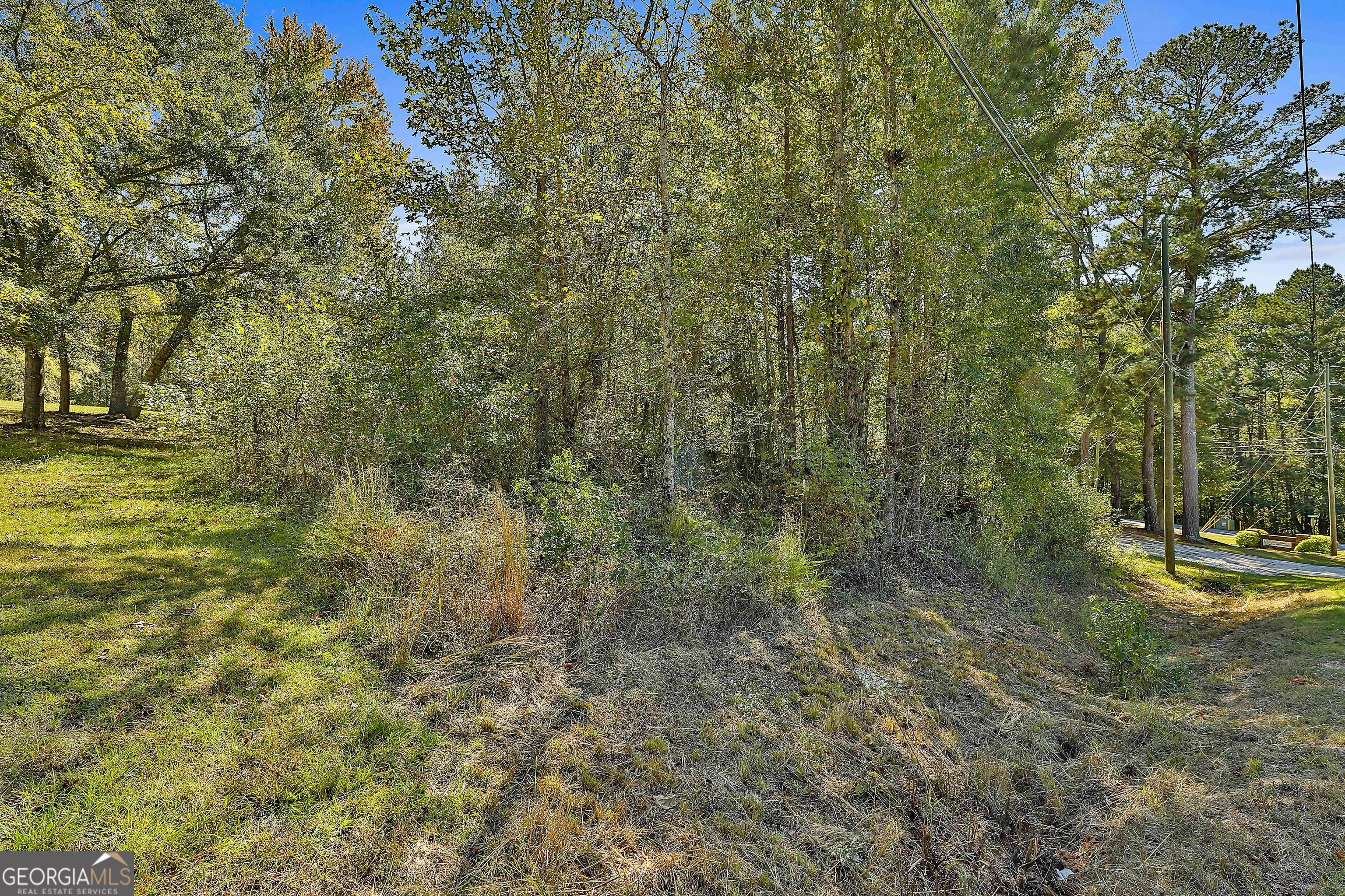 Lot 2 Raymond Hill Road Newnan, GA 30265 - Photo 3 of 4 a view of a lake with lots of trees