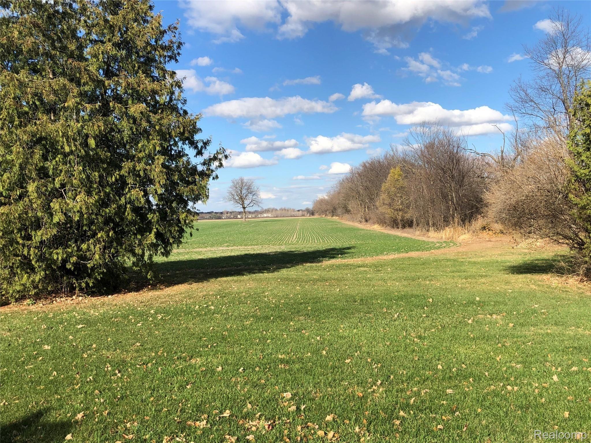 1296 West Parks Road St. Johns, MI 48879 - Photo 4 of 30 park 20.jpg