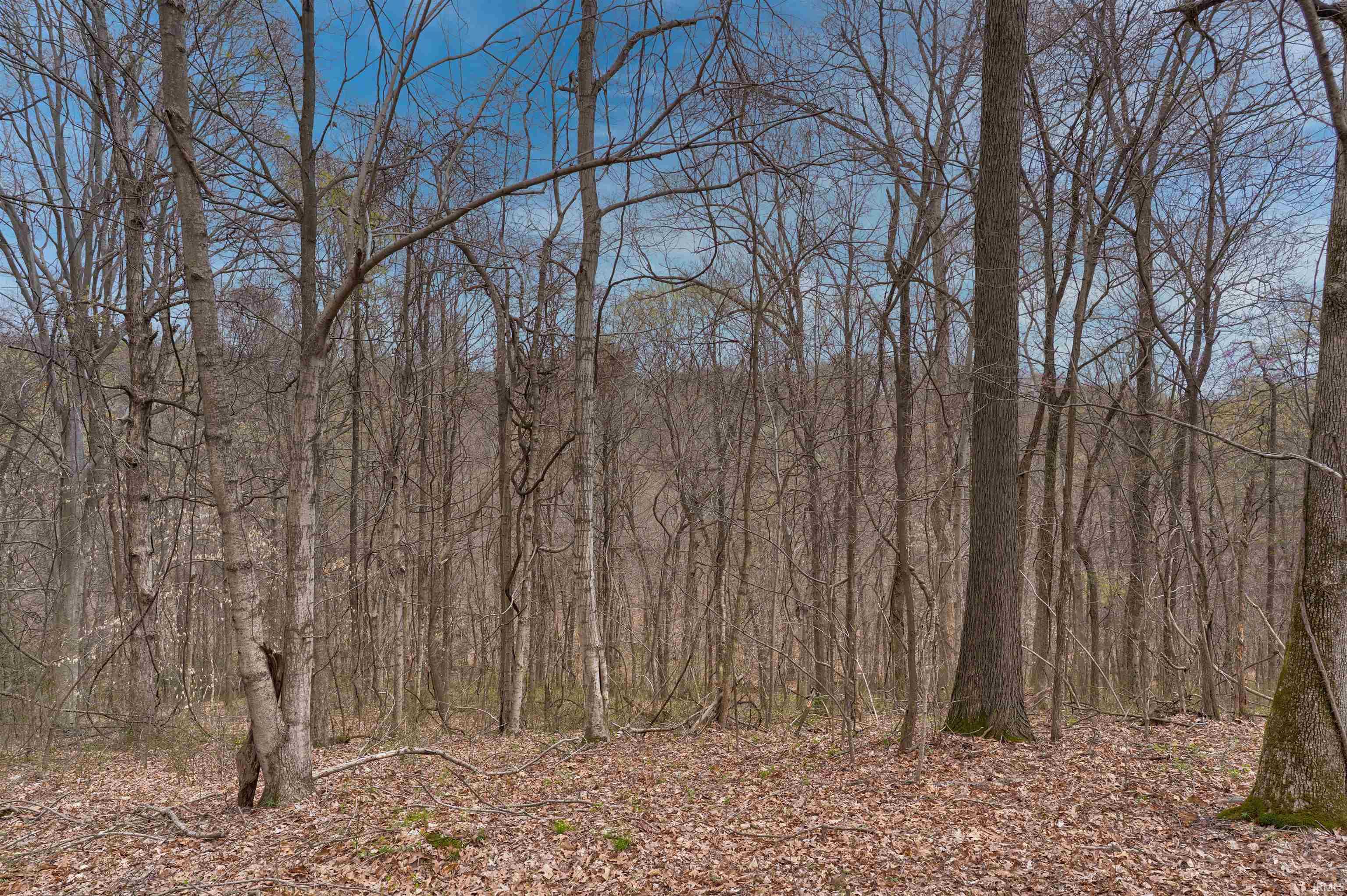 0 Brushy Fork Road Tell City, IN 47586 - Photo 22 of 30
