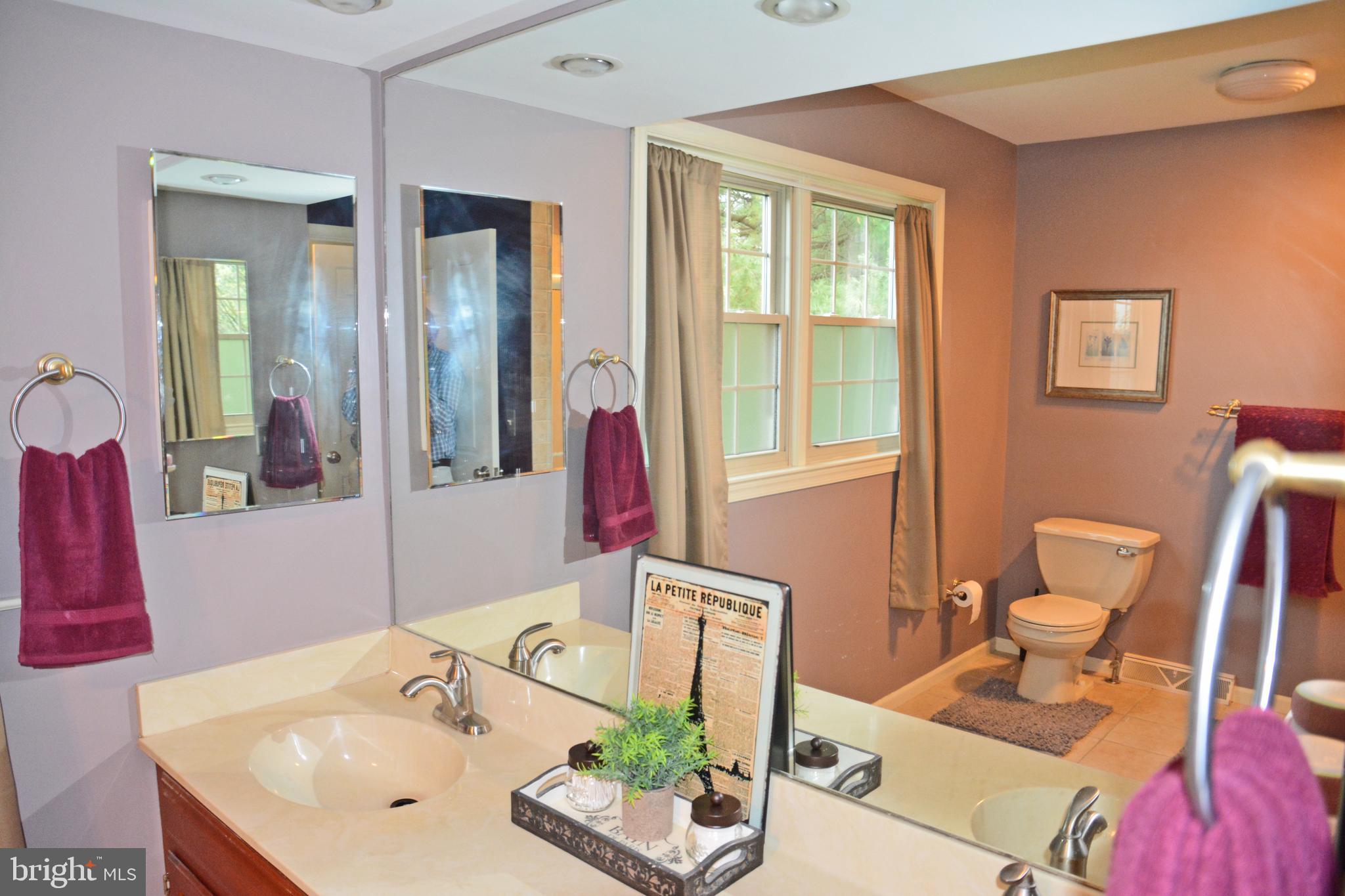 519 Ashton Place Lititz, PA 17543 - Photo 33 of 55 Primary Bath (ensuite)