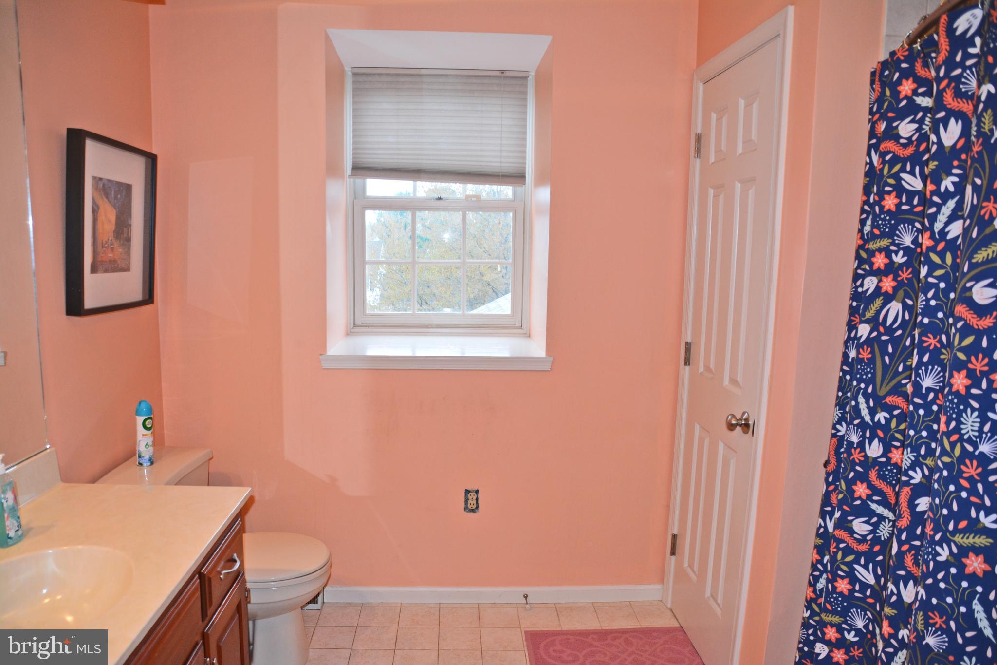 519 Ashton Place Lititz, PA 17543 - Photo 38 of 55 Hallway bath
