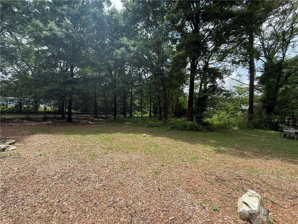 726 Old Rome Road Aragon, GA 30104 - Photo 10 of 30