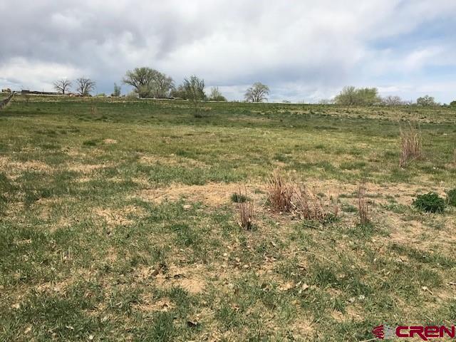 4235 Cedar Road Delta, CO 81416 - Photo 2 of 6