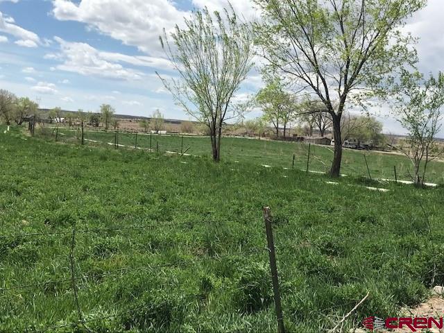 4235 Cedar Road Delta, CO 81416 - Photo 3 of 6