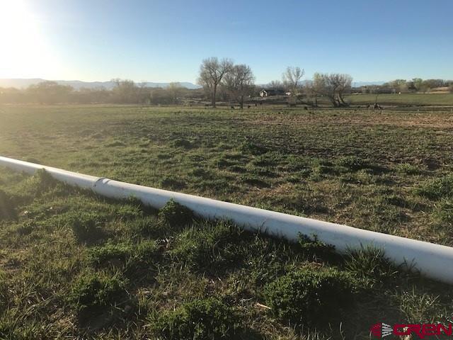 4235 Cedar Road Delta, CO 81416 - Photo 4 of 6