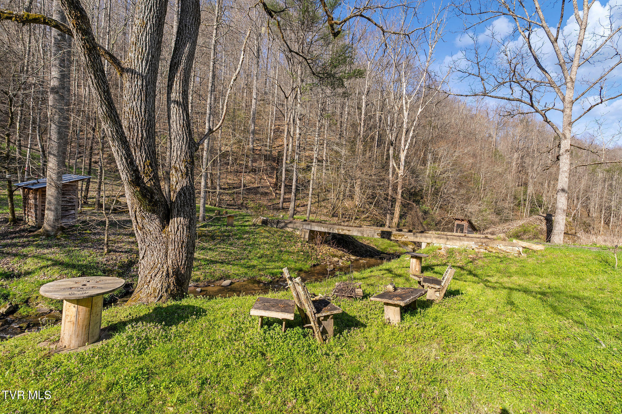 Tbd Raven Branch Road Del Rio, TN 37727 - Photo 11 of 29 DSC08834