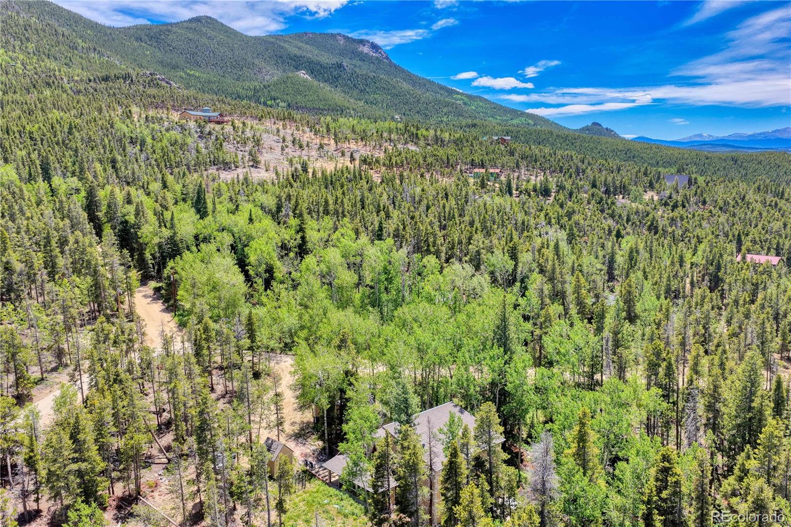 983 Wedgwood Road Black Hawk, CO 80422 - Photo 49 of 50