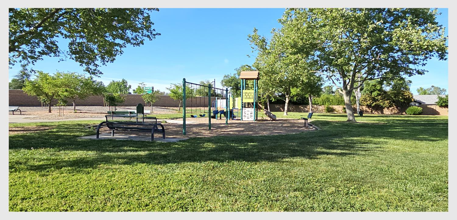 5130 Rescue Court Sacramento, CA 95841 - Photo 39 of 47 a garden with trees in the background