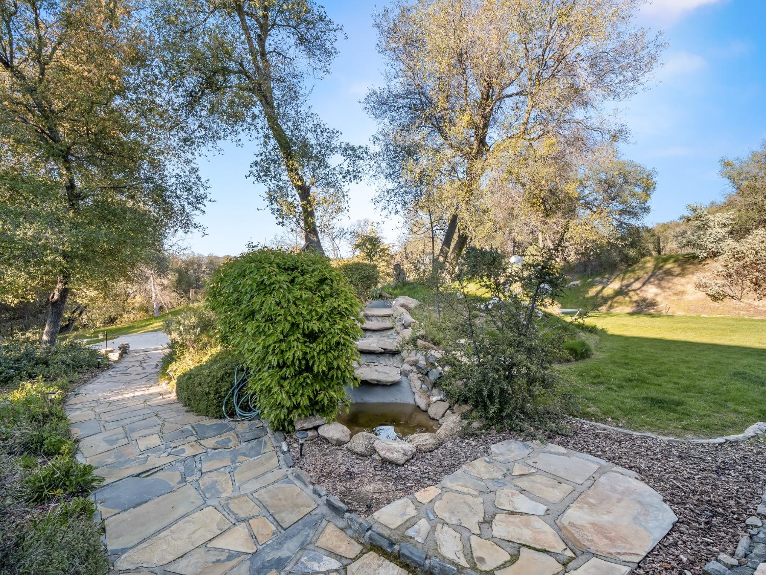 45936 Spring Trail Coarsegold, CA 93614 - Photo 6 of 67 Gallery Image 6