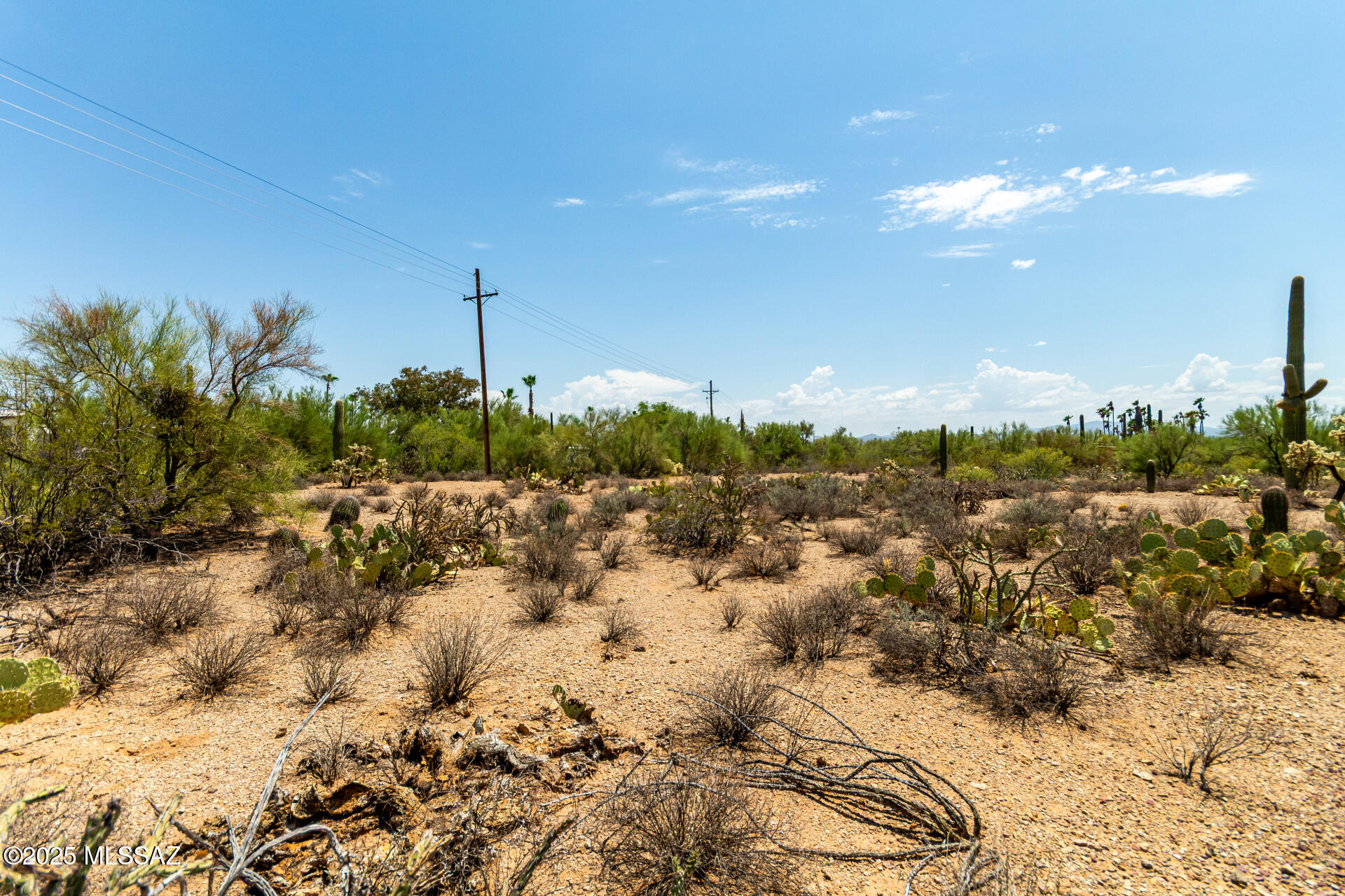 2900 South Kinney Road, Unit 13 Tucson, AZ 85735 - Photo 11 of 12 Gallery Image 11
