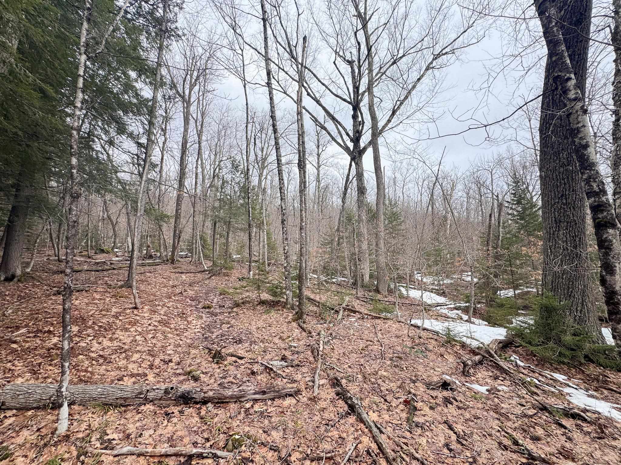 400 Marine Hill Rochester, VT 05767 - Photo 11 of 13