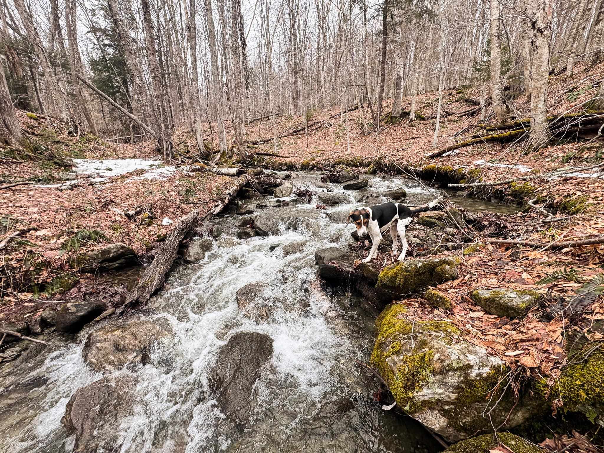 400 Marine Hill Rochester, VT 05767 - Photo 3 of 13