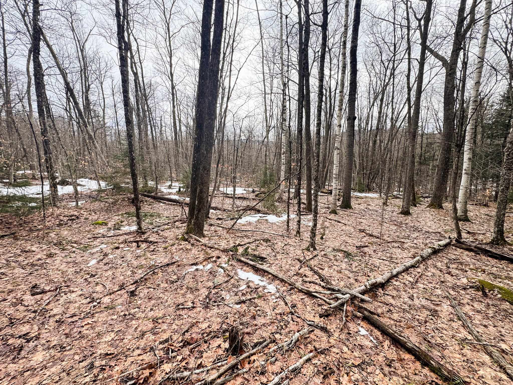 400 Marine Hill Rochester, VT 05767 - Photo 5 of 13