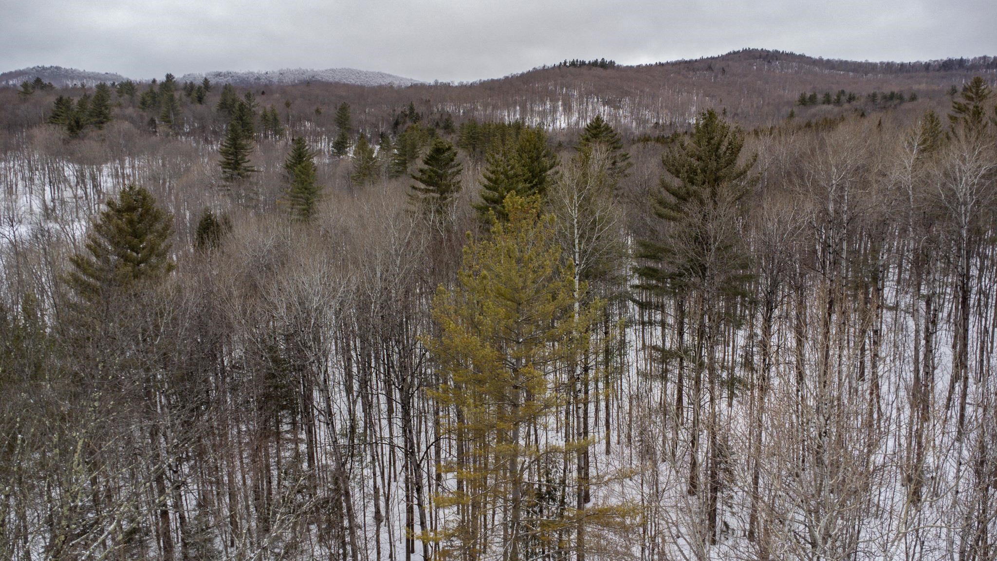 400 Marine Hill Rochester, VT 05767 - Photo 6 of 13