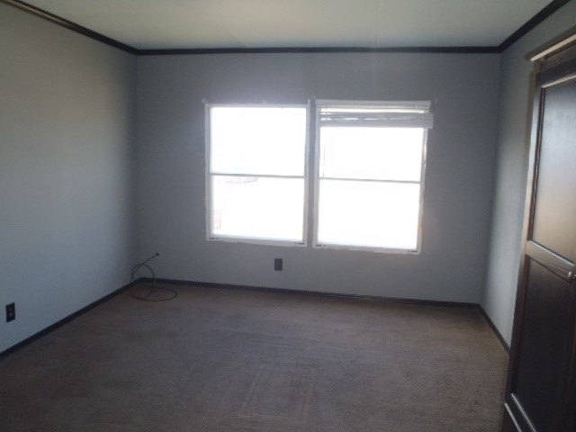 964 Railyard Drive Kyle, TX 78640 - Photo 13 of 25 Empty room with crown molding, healthy amount of natural light, and dark carpet