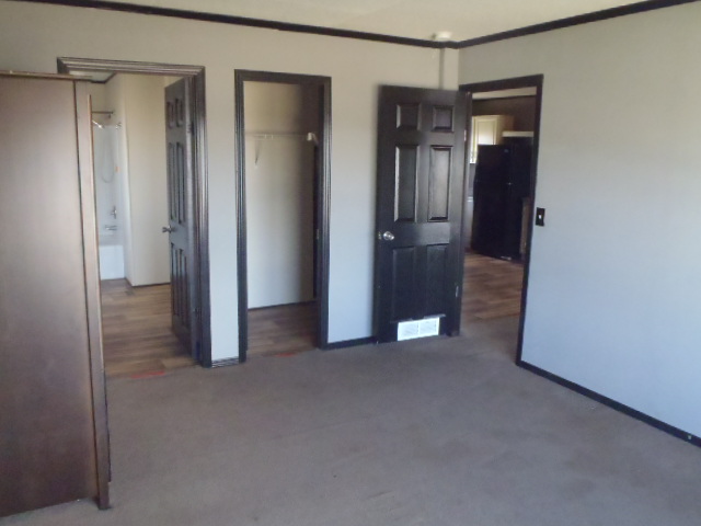 964 Railyard Drive Kyle, TX 78640 - Photo 14 of 25 Unfurnished bedroom with a spacious closet, carpet flooring, and crown molding