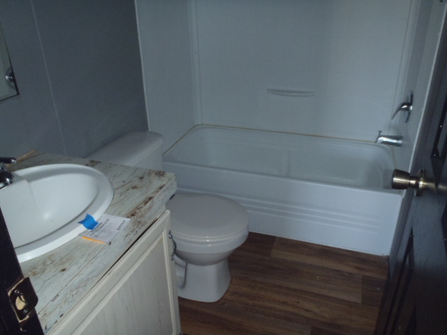 964 Railyard Drive Kyle, TX 78640 - Photo 22 of 25 Full bath featuring vanity, dark wood-style floors, and washtub / shower combination