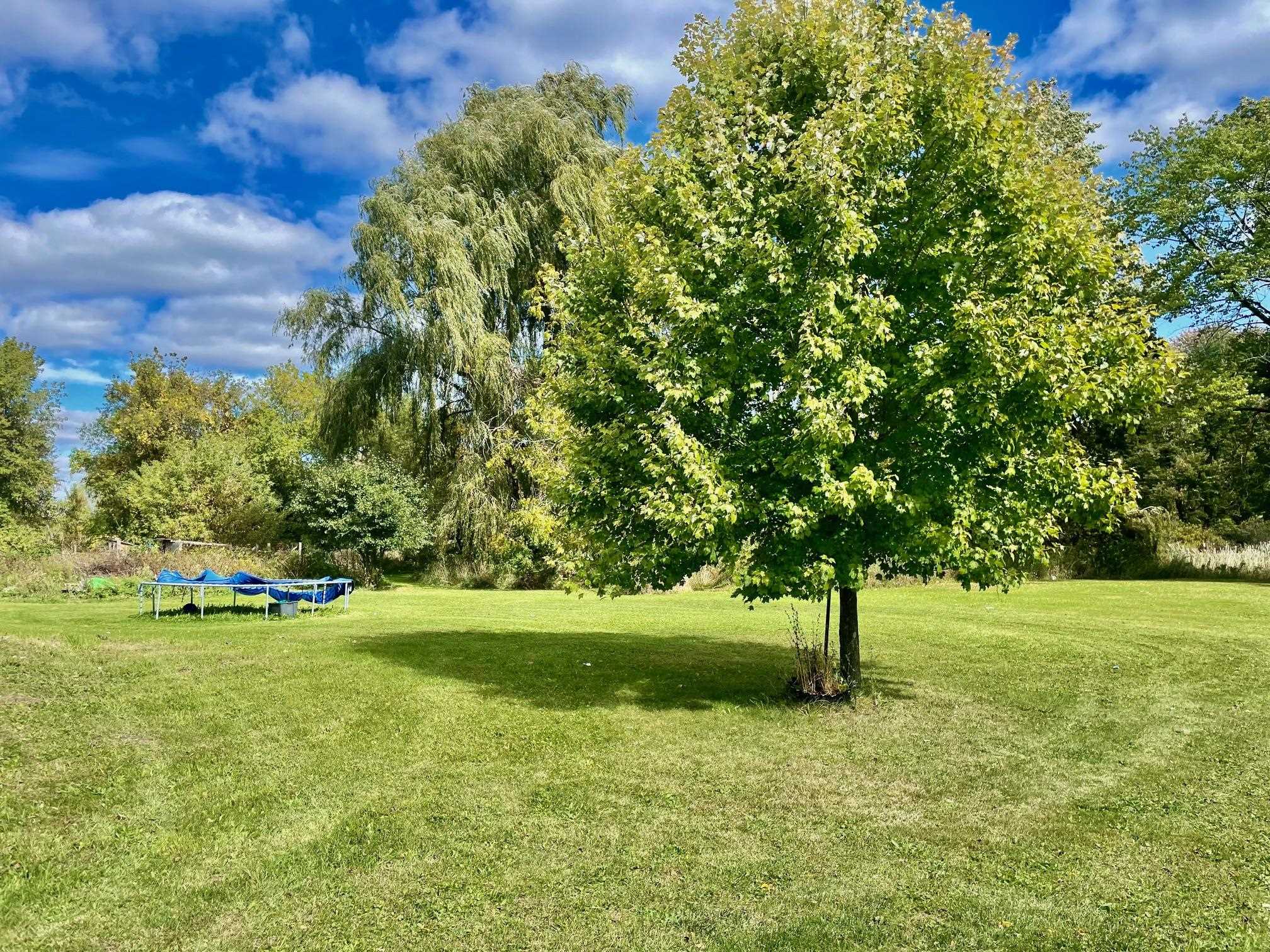 4144 North State Road Ionia, MI 48846 - Photo 4 of 18