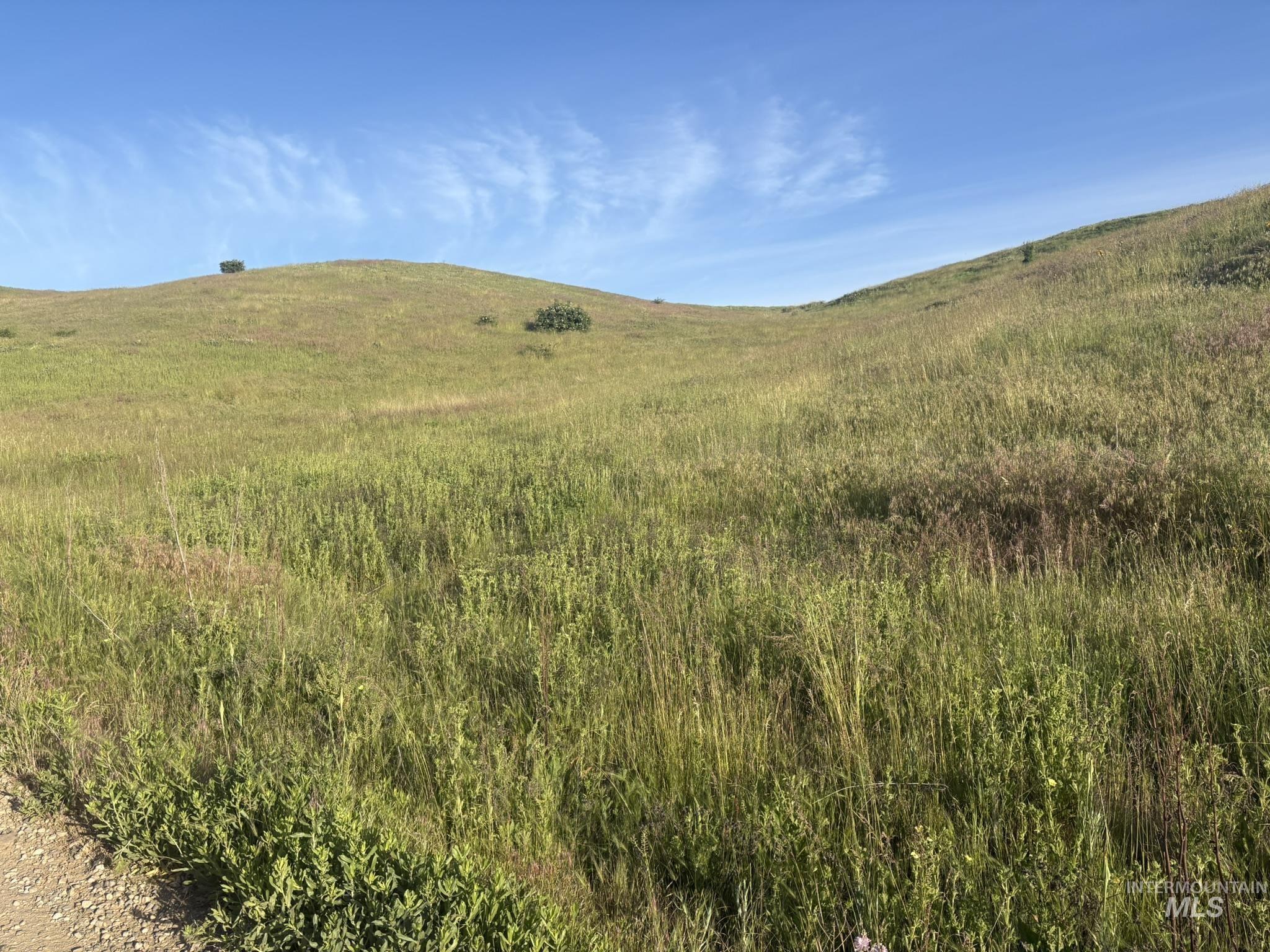 Tbd Bethel Road Horseshoe Bend, ID 83629 - Photo 16 of 18