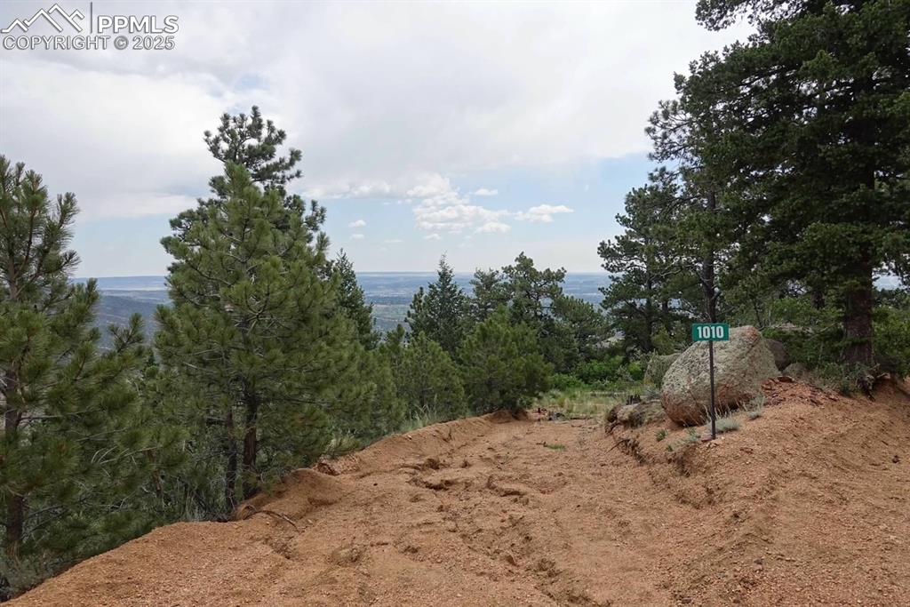 292 Sugar Loaf Road Manitou Springs, CO 80829 - Photo 9 of 12 a view of a dry yard with trees