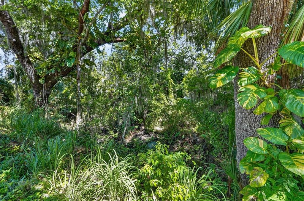 11740 Darsey Road Parrish, FL 34219 - Photo 52 of 73